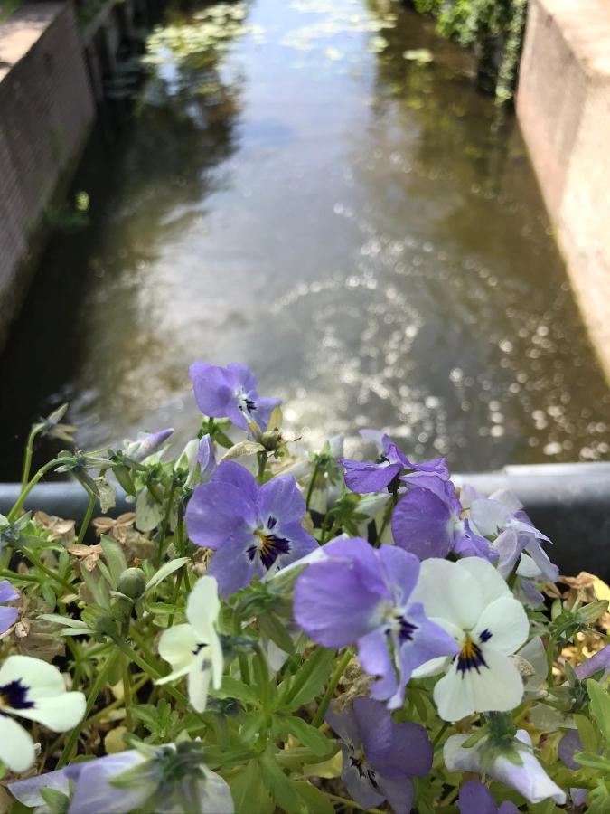 B&B Zaligheid Zwaluwe エクステリア 写真